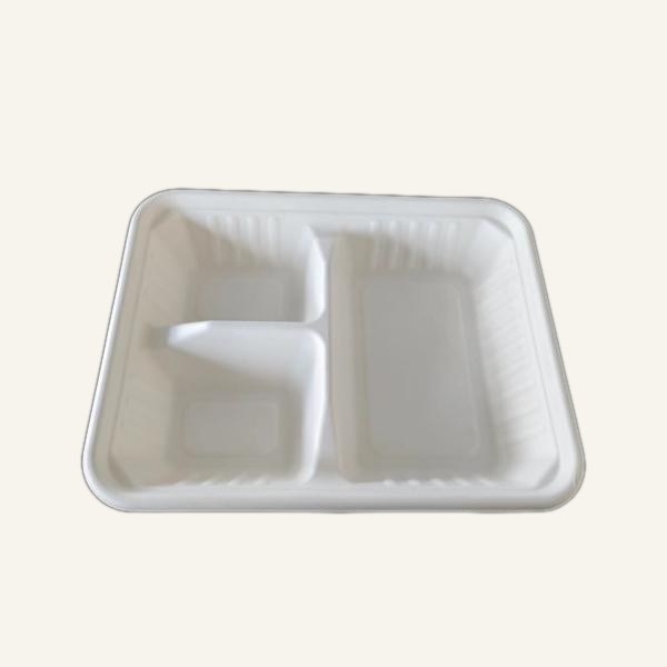 Bagasse compartment containers