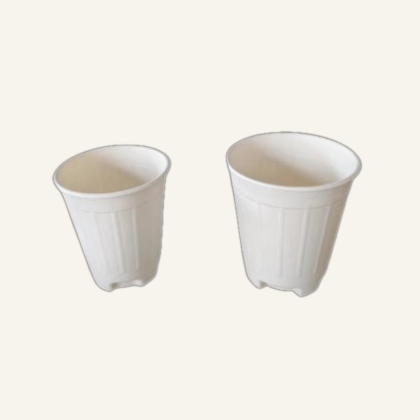 8 oz Cup (240 ml) (ref CP001)